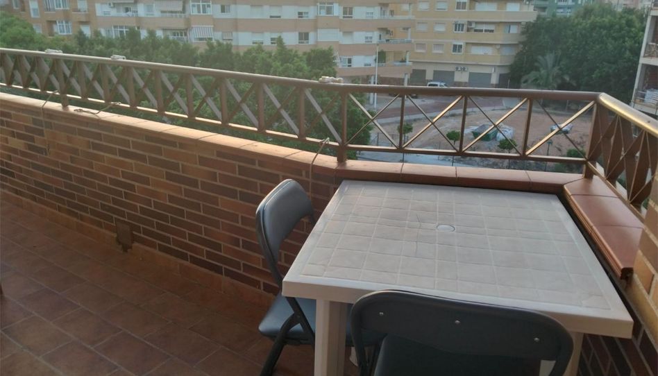 Piso de alquiler en Avinguda del Voluntariat, 31, Crevillent, Alicante - imagen 1 Foto 1 de Piso de alquiler en Avinguda del Voluntariat, 31, Crevillent, Alicante