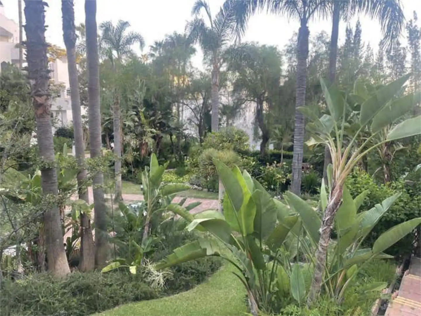 Jardín de Apartamento de alquiler en Marbella con Jardín privado y Amueblado