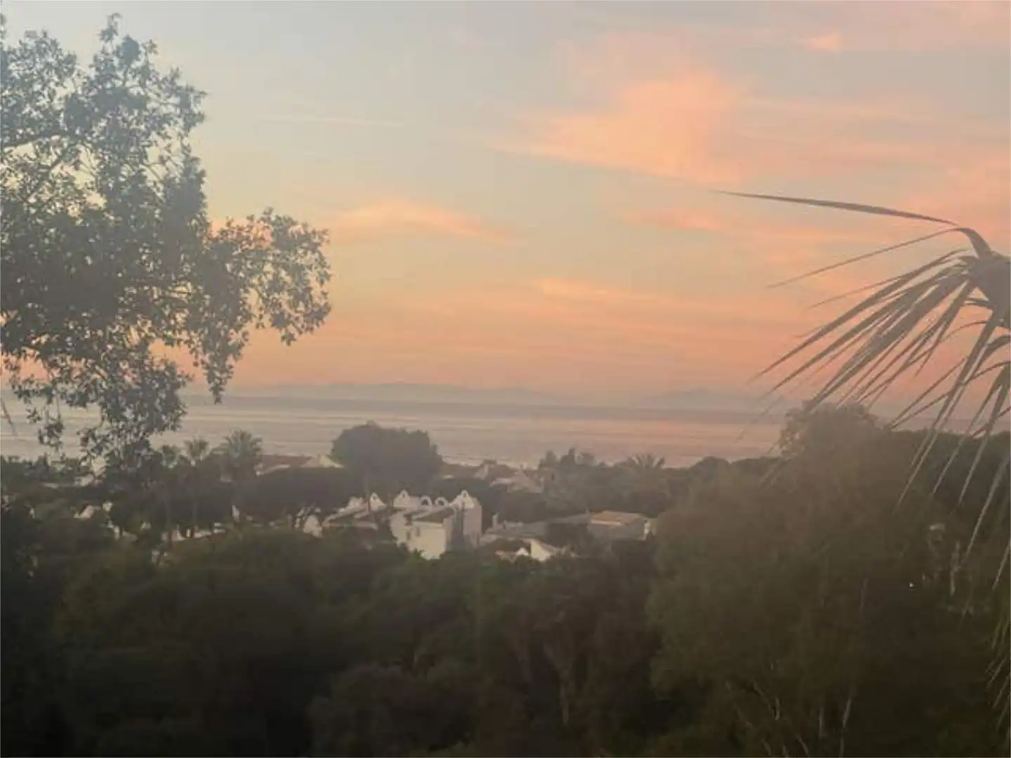 Vista exterior de Apartamento de alquiler en Marbella con Jardín privado y Amueblado