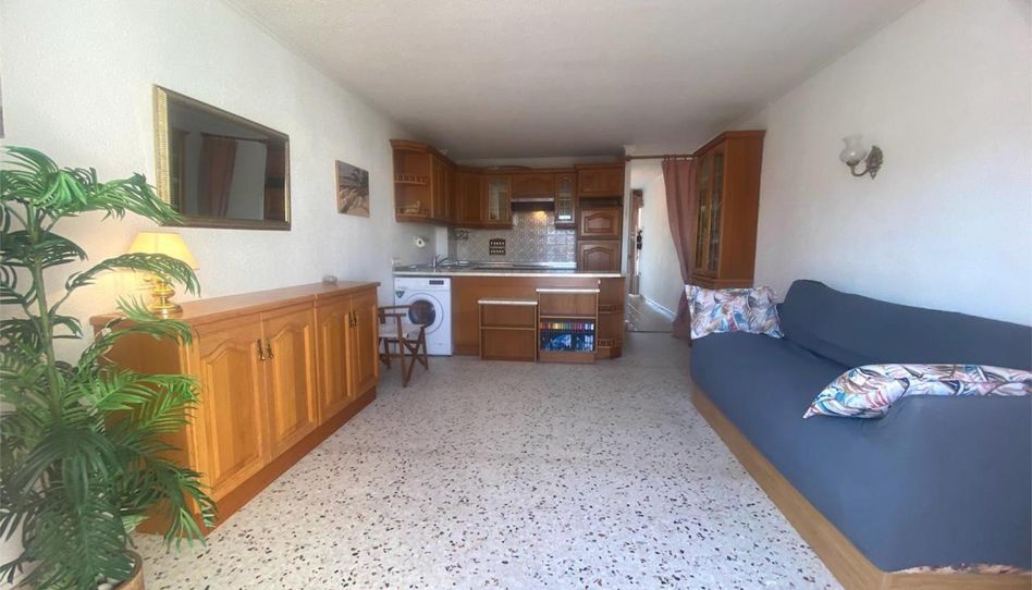 Apartments for rent in Carrer Perseo, 39, L'Albir, L'Alfàs del Pi - image 1 Photo 1 of Apartments for rent in Carrer Perseo, 39, L'Albir, L'Alfàs del Pi