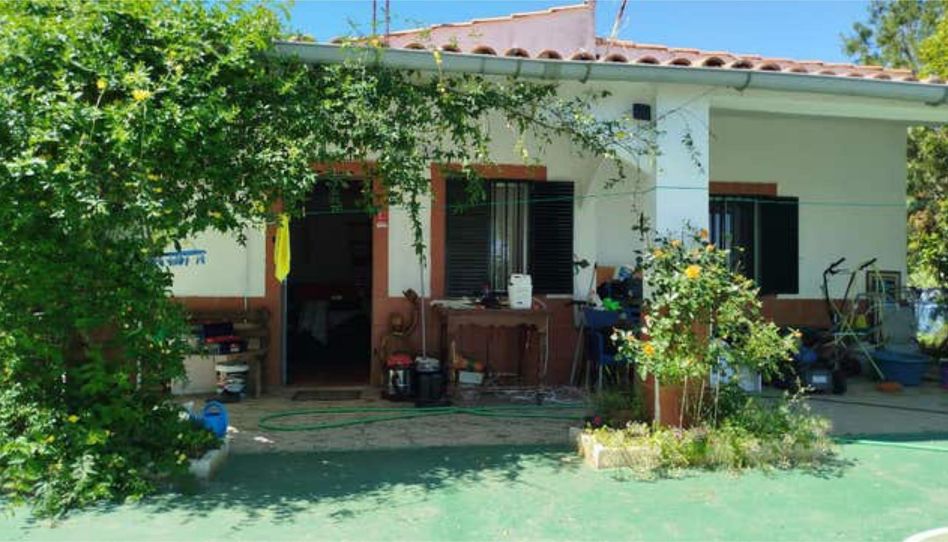 Houses for sale in Garrovillas de Alconétar, Cáceres - image 1 Photo 1 of Houses for sale in Garrovillas de Alconétar, Cáceres