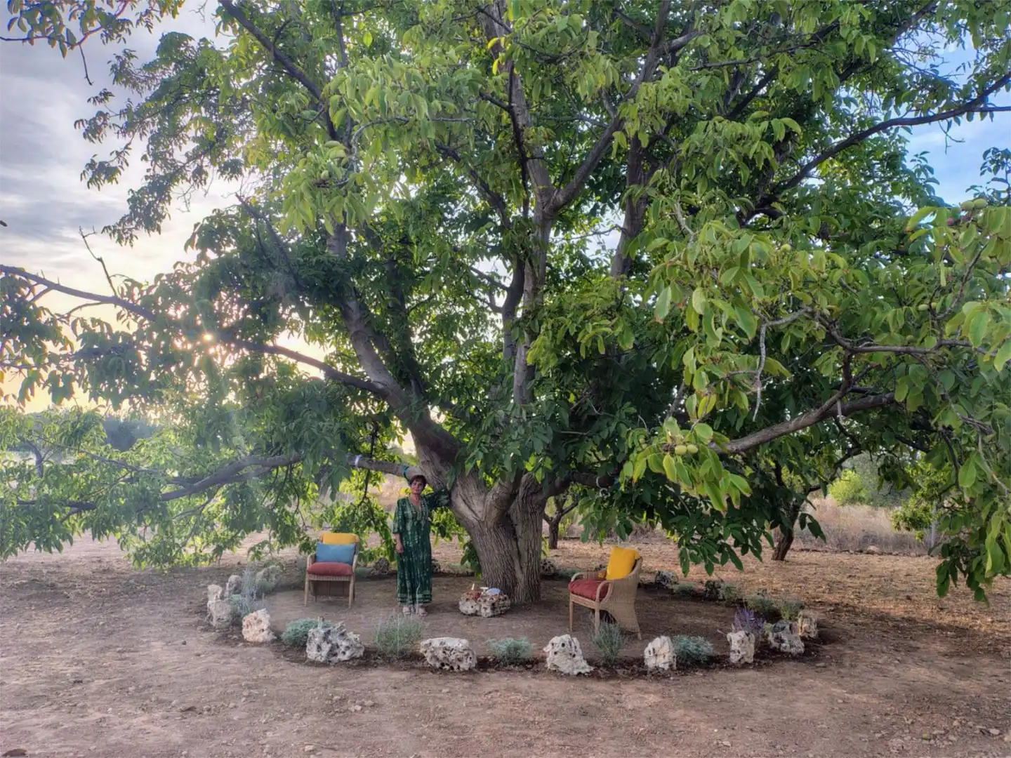 Finca rústica en venda a Calle Diseminados, 1005, Hellín Jardí de Finca rústica en venda en Hellín amb Calefacció, Jardí privat i Parquet