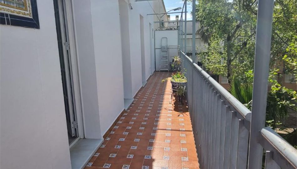Piso en venta en Calle Antonio García Corona, 1, Triana Oeste, Sevilla Capital - imagen 1 Foto 1 de Piso en venta en Calle Antonio García Corona, 1, Triana Oeste, Sevilla Capital
