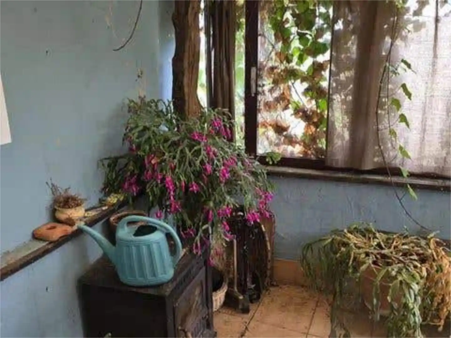 Jardín de Casa o chalet en venta en Oviedo 