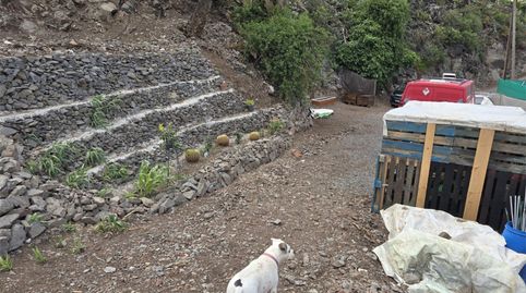 Foto 3 de Finca rústica en venda a Diseminado San Juan, 92, Santa María de Guía de Gran Canaria, Las Palmas