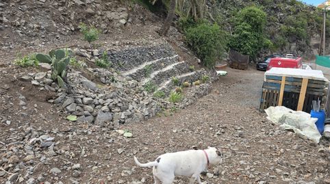 Foto 4 de Finca rústica en venda a Diseminado San Juan, 92, Santa María de Guía de Gran Canaria, Las Palmas