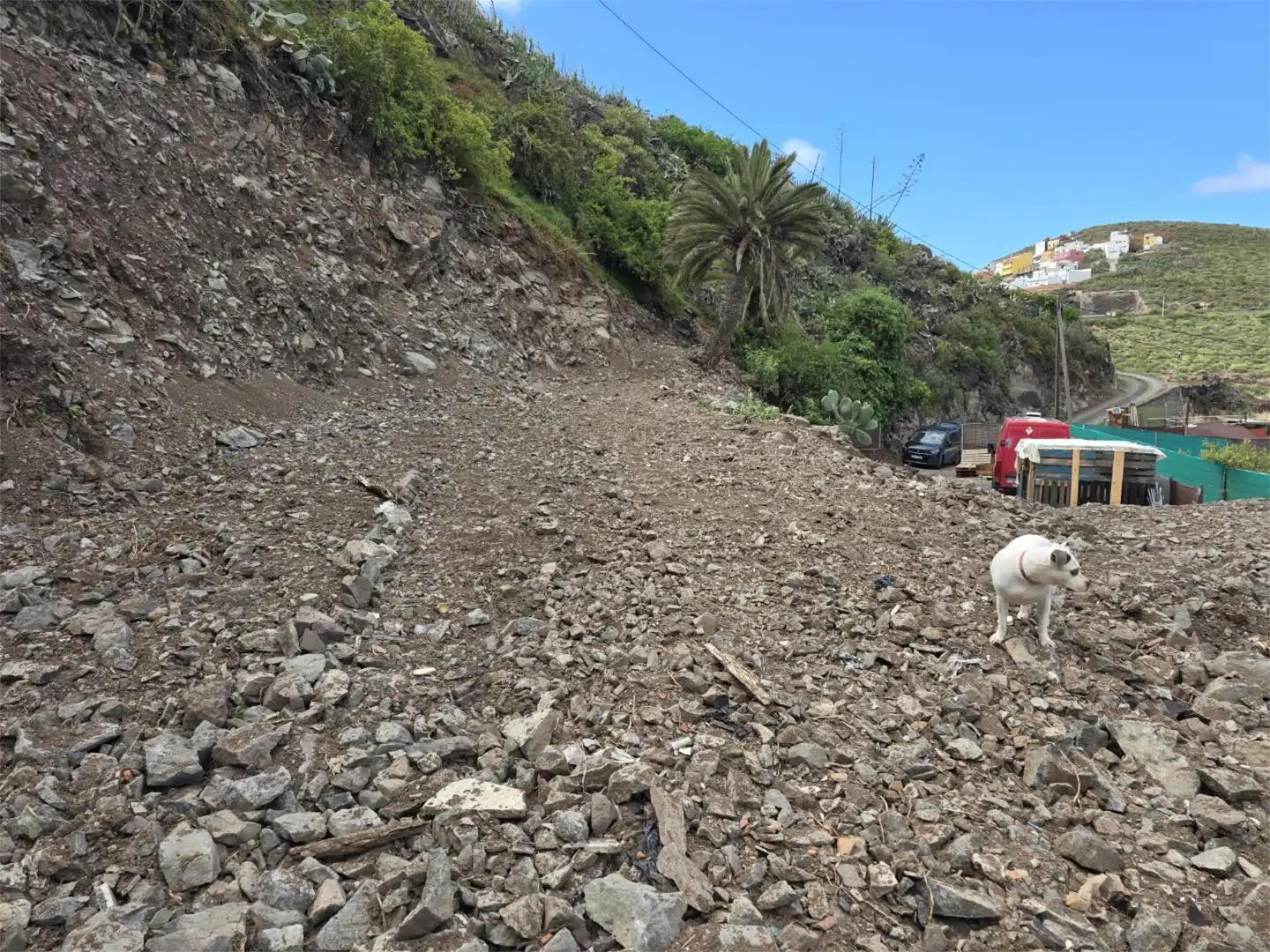 Finca rústica en venda a Diseminado San Juan, 92, Santa María de Guía de Gran Canaria