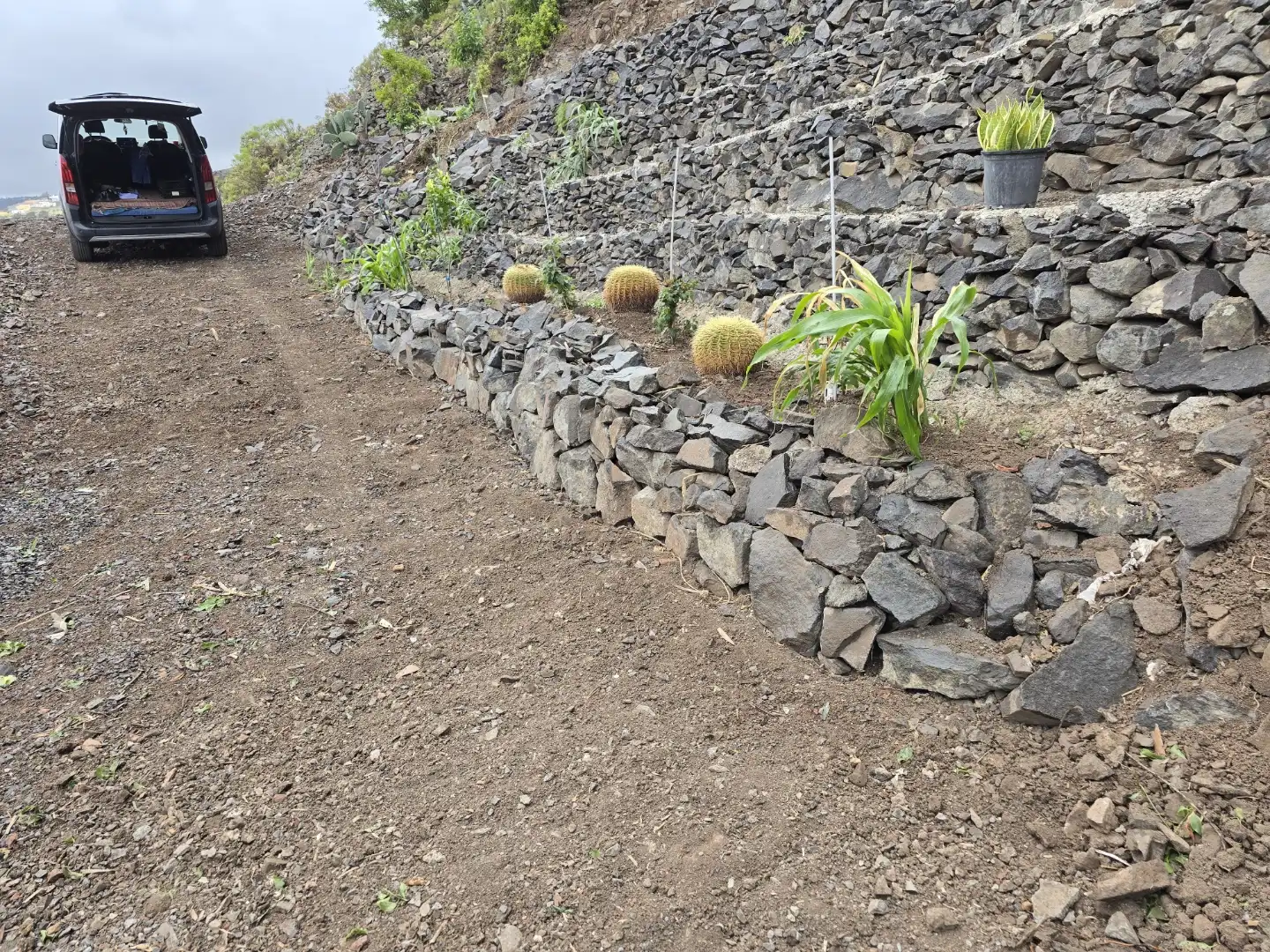 Jardí de Finca rústica en venda en Santa María de Guía de Gran Canaria amb Jardí privat i Terrassa