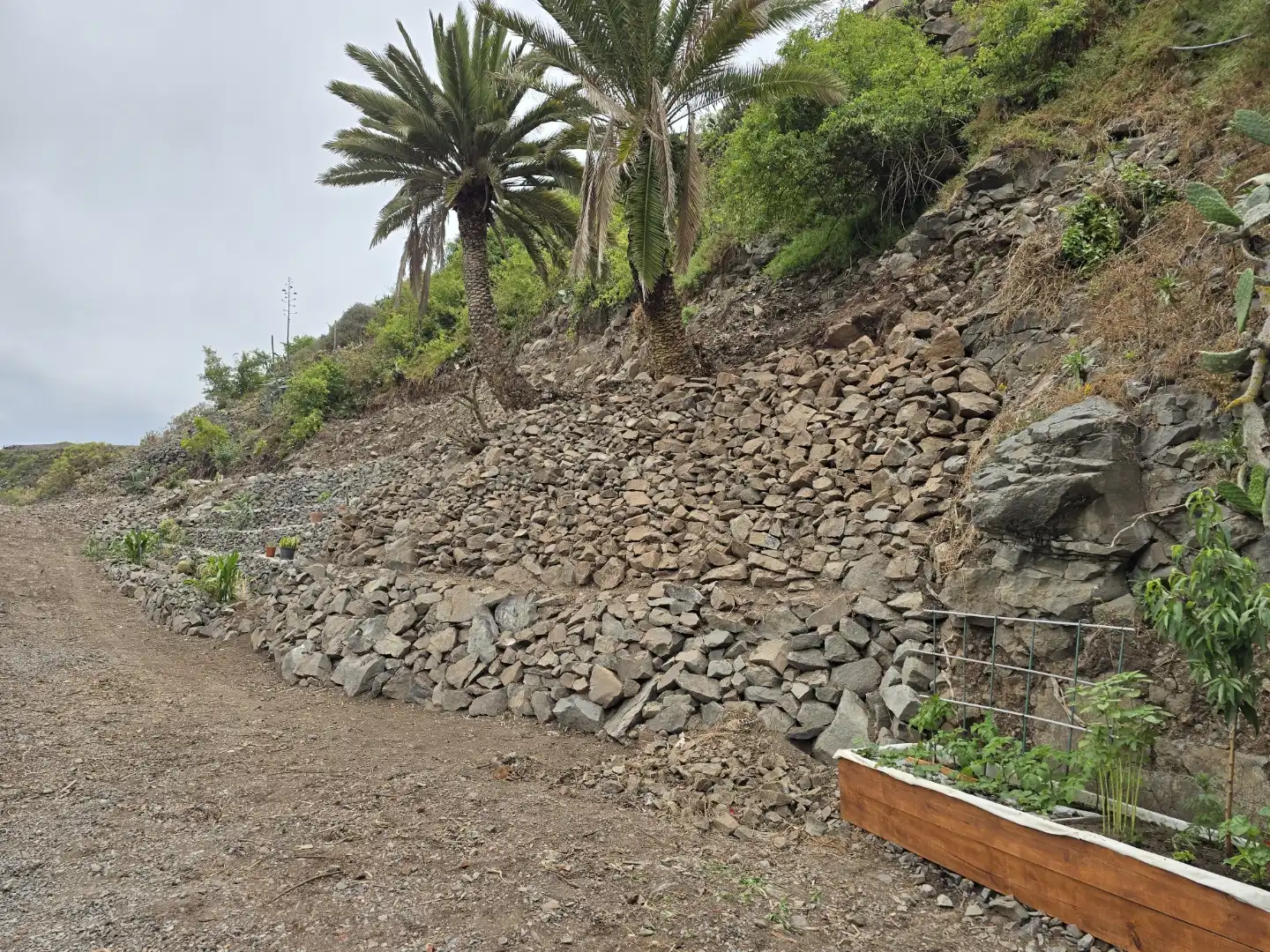 Vista exterior de Finca rústica en venda en Santa María de Guía de Gran Canaria amb Jardí privat i Terrassa
