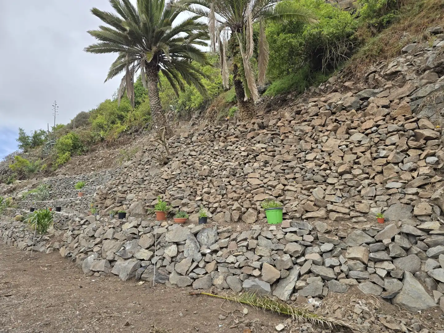 Vista exterior de Finca rústica en venda en Santa María de Guía de Gran Canaria amb Jardí privat i Terrassa