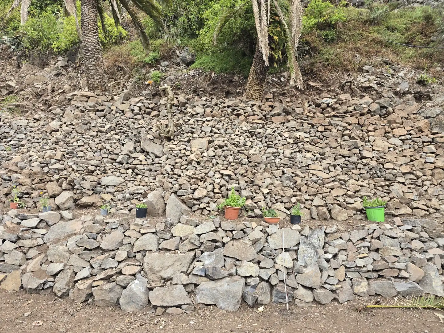 Finca rústica en venda en Santa María de Guía de Gran Canaria amb Jardí privat i Terrassa