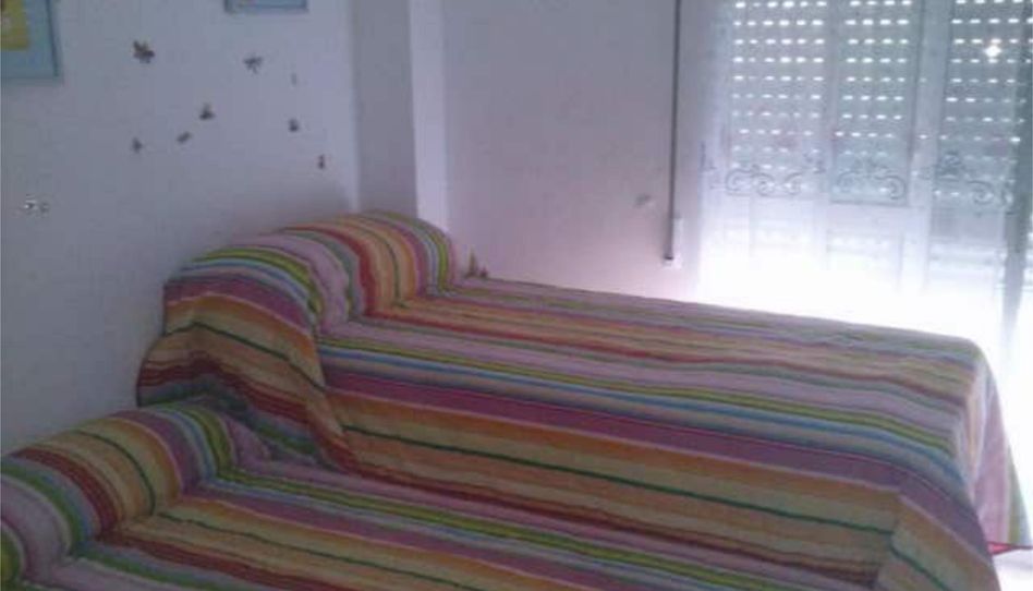 Apartamento de alquiler en Daimús, Valencia - imagen 1 Foto 1 de Apartamento de alquiler en Daimús, Valencia