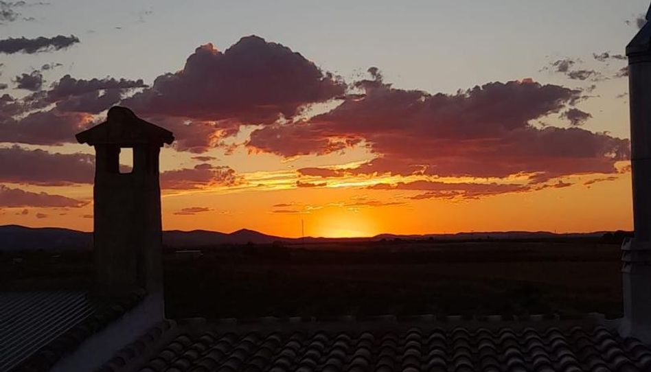 Finca rústica en venda a Camino Eras Altas, 9, Herencia, Ciudad Real - imatge 1 Foto 1 de Finca rústica en venda a Camino Eras Altas, 9, Herencia, Ciudad Real