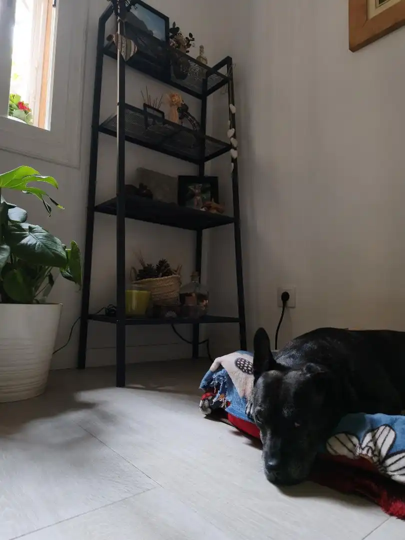 Habitació a Passeig de la Peira, 43, El Turó de la Peira Dormitori de Pis per a compartir en Barcelona amb Moblat, Forn i Rentadora