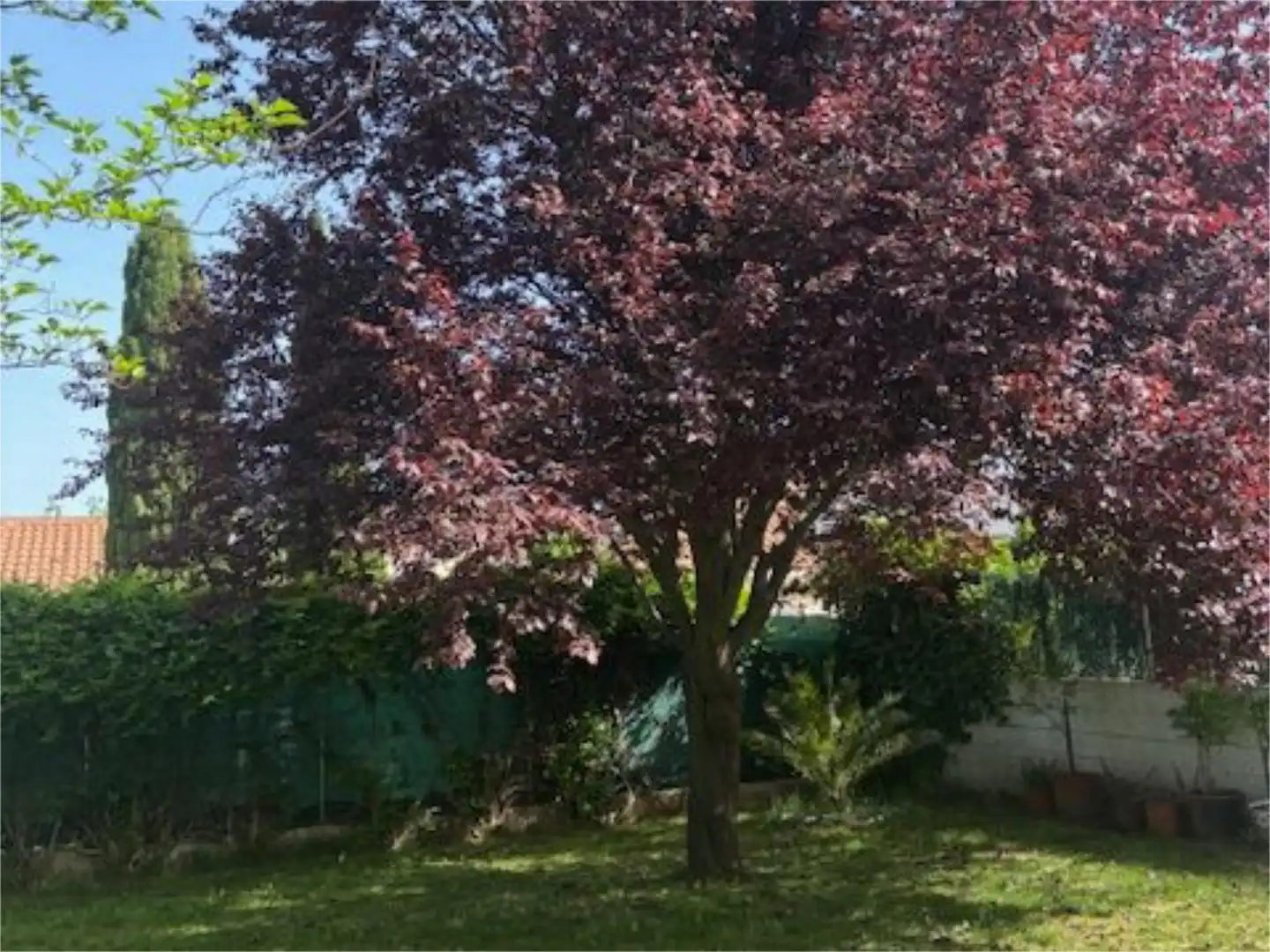 Casa o chalet en venta en Calle Río Guadarrama, 1161, El Casar Jardín de Casa o chalet en venta en El Casar