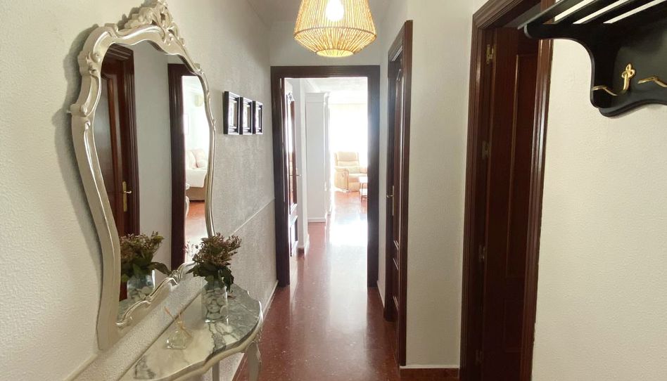 Flat for rent in Calle Horacio Lengo, 14, La Unión - Cruz de Humilladero - Los Tilos, Málaga Capital - image 1 Photo 1 of Flat for rent in Calle Horacio Lengo, 14, La Unión - Cruz de Humilladero - Los Tilos, Málaga Capital