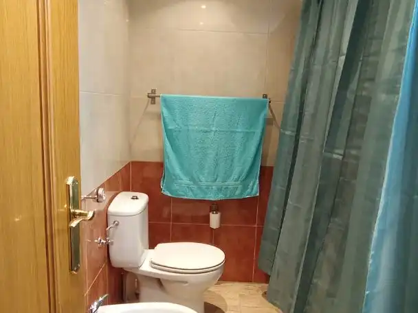 Piso de alquiler en Calle Olivares, 2, Puerta de Cuartos - Avda. de Portugal Baño de Piso de alquiler en Talavera de la Reina con Aire acondicionado, Calefacción y Jardín privado