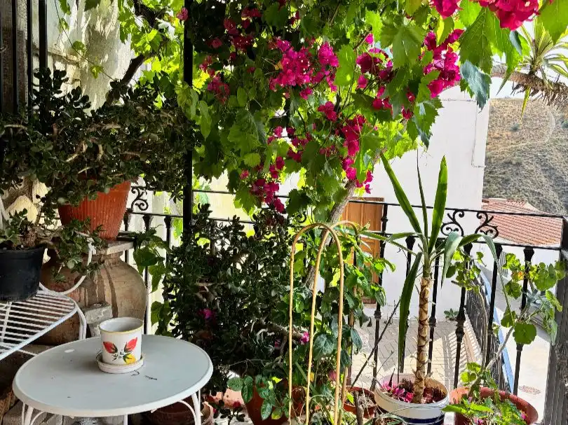 Terraza de Apartamento de alquiler en Líjar con Jardín privado y Amueblado
