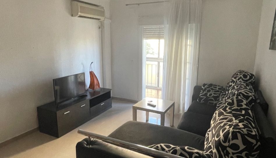 Piso de alquiler en Plaza Princi Jerez, 13, Pago San José - Princi - Jerez, Jerez de la Frontera - imagen 1 Foto 1 de Piso de alquiler en Plaza Princi Jerez, 13, Pago San José - Princi - Jerez, Jerez de la Frontera