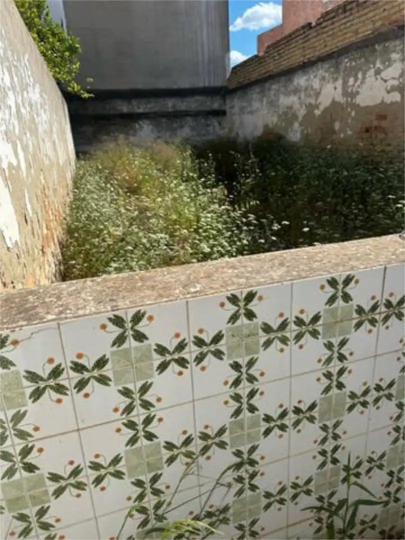 Garden of Houses for sale in La Puebla del Río