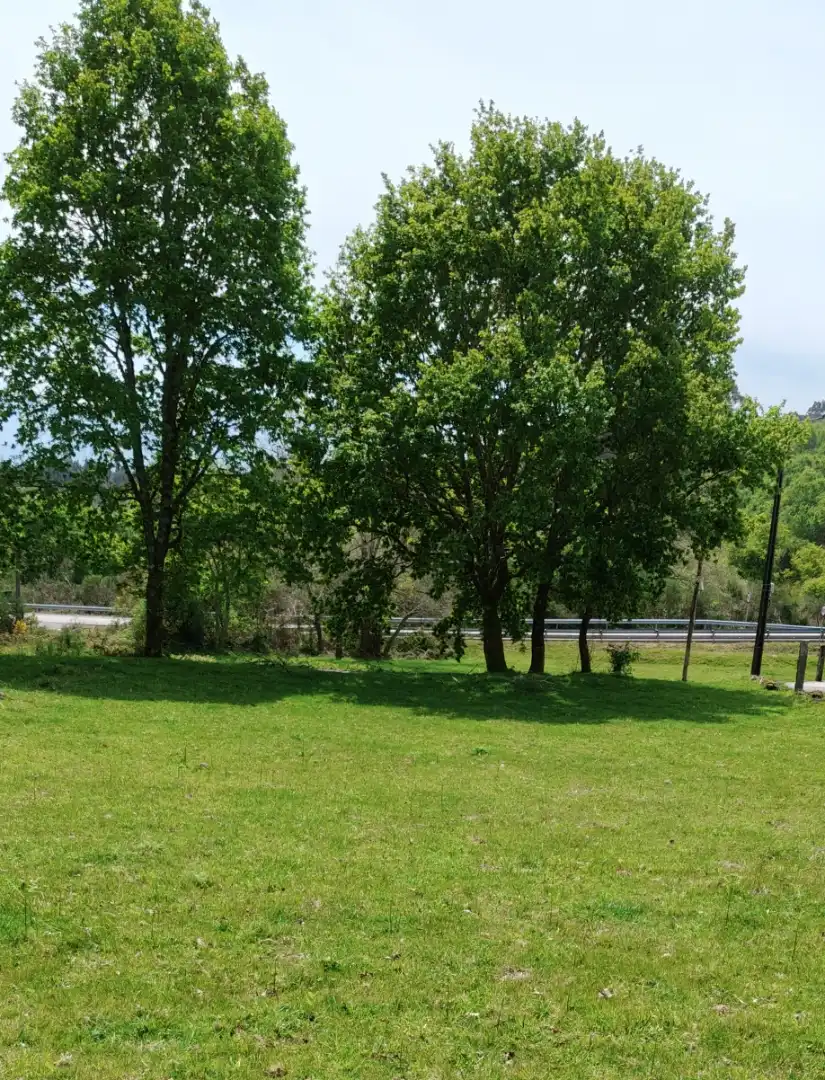 Land for sale in A Cañiza  