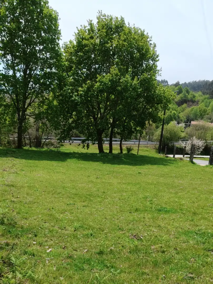 Land for sale in A Cañiza  