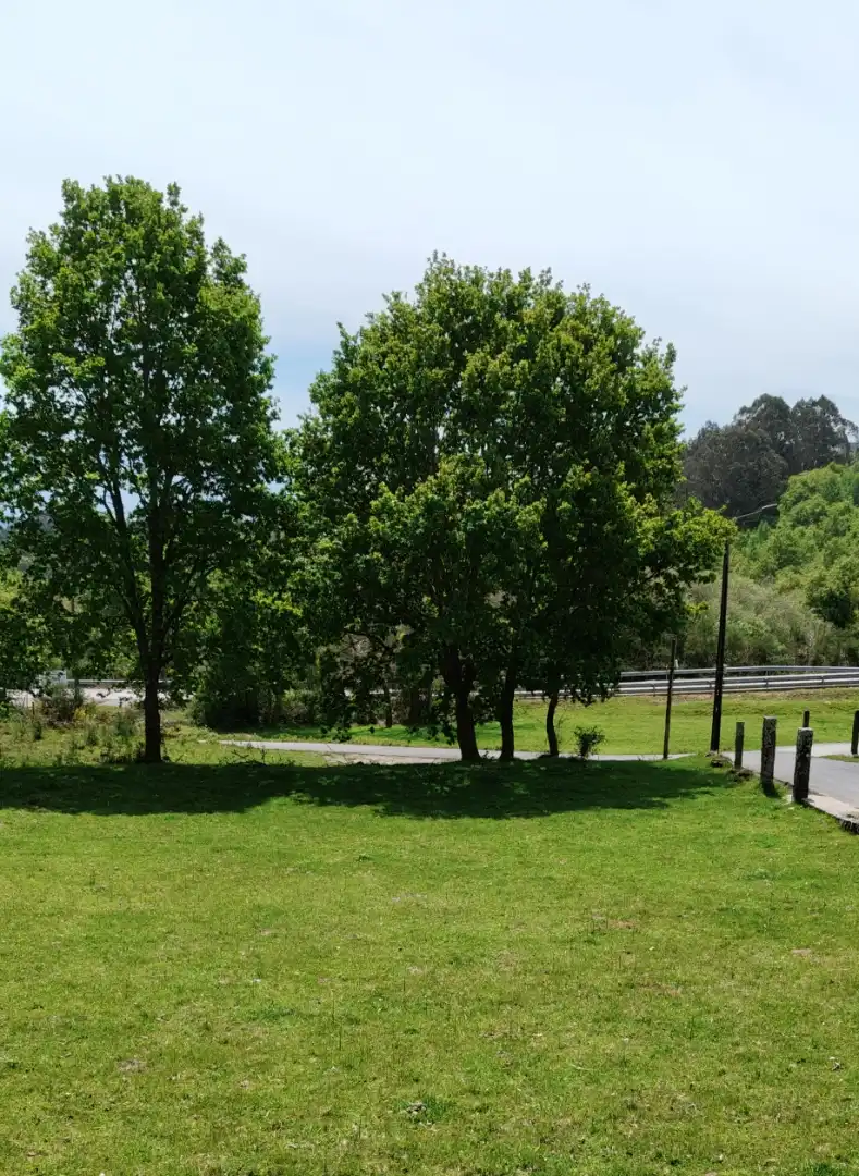 Exterior view of Land for sale in A Cañiza  