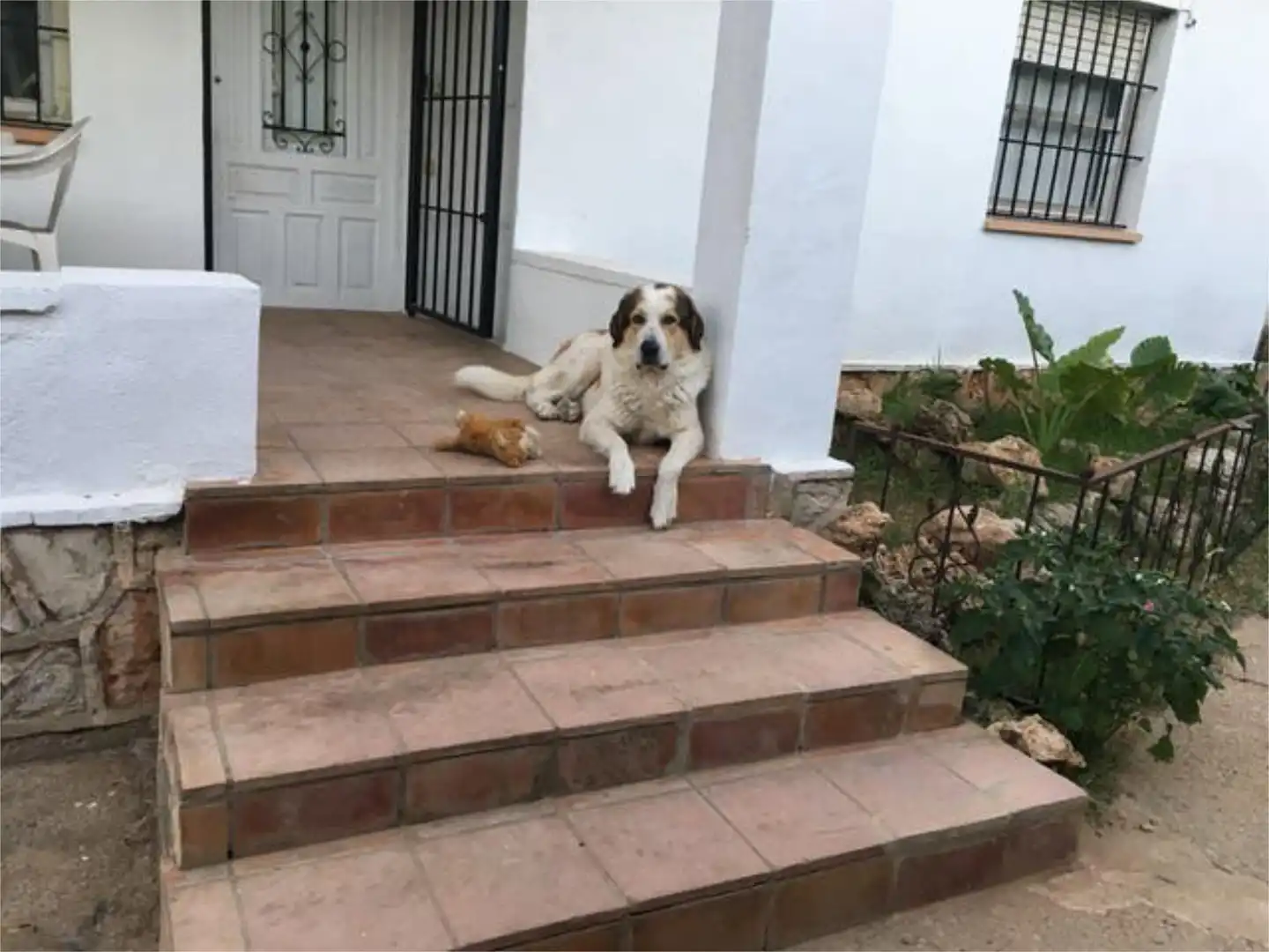 Habitación en La Cañada