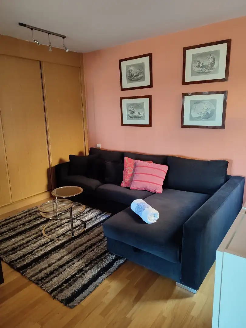 Living room of Duplexes for rent in Toledo  with Air Conditioner, Heating and Parquet flooring