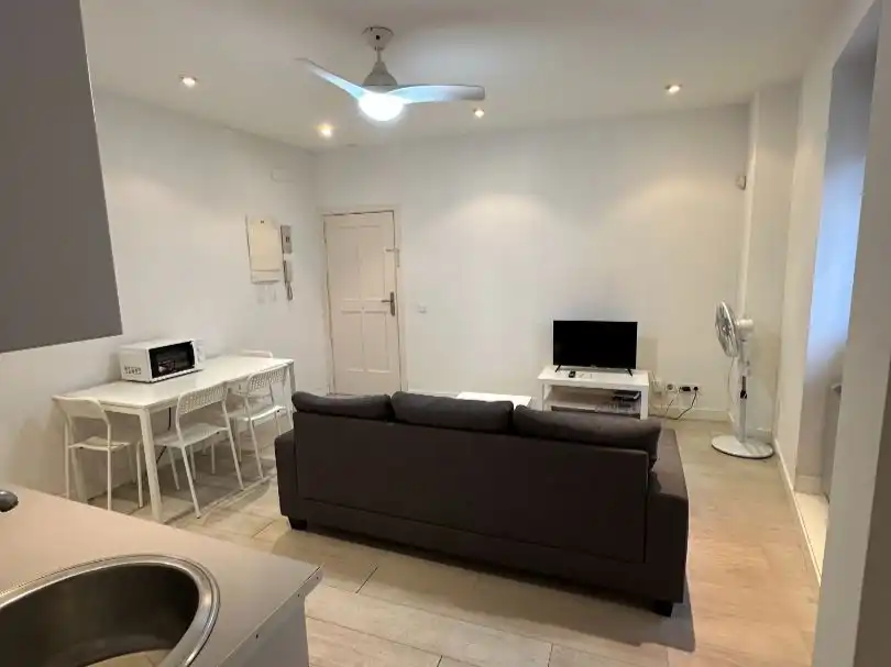 Sala de estar de Piso de alquiler en  Madrid Capital