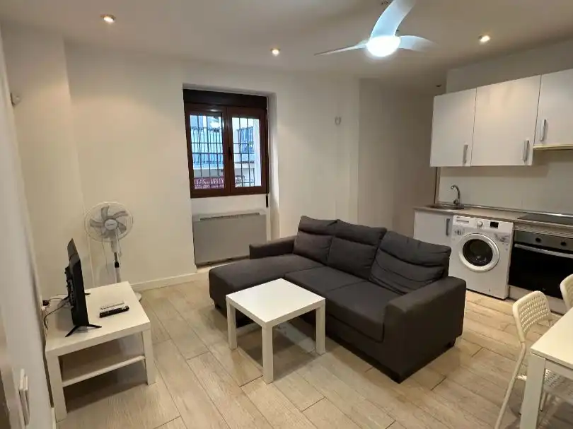 Sala de estar de Piso de alquiler en  Madrid Capital