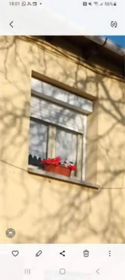Terraza de Casa o chalet de alquiler en Cubillos del Sil con Amueblado