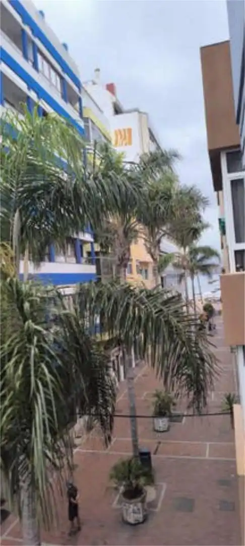 Vista exterior de Pis de lloguer en Las Palmas de Gran Canaria amb Moblat