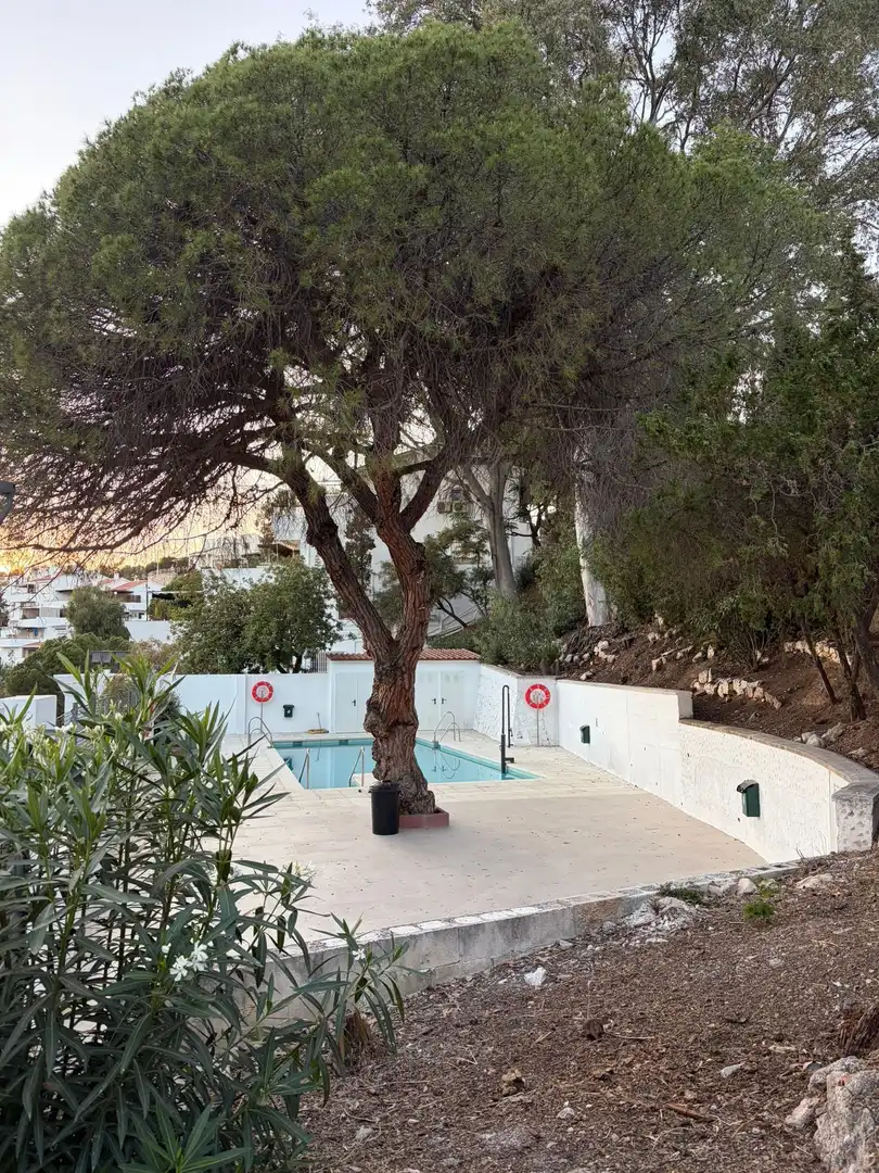 Apartament de lloguer a Calle Arces, 13, Cerrado de Calderón - Hacienda Paredes Piscina de Apartament de lloguer en Málaga amb Aire condicionat, Parquet i Terrassa