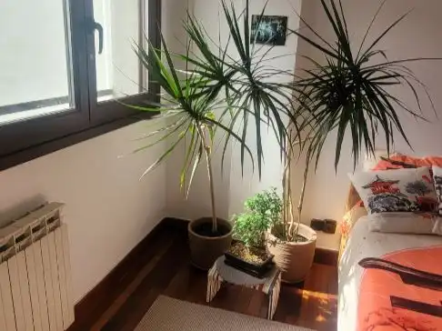 Flat for rent in Berango Balcony of Flat for rent in Berango with Heating, Parquet flooring and Furnished