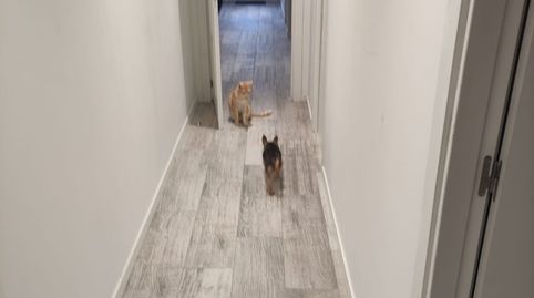 Foto 3 de Planta baja en venta en Calle Puerto Rico, 9, Cuéllar, Segovia