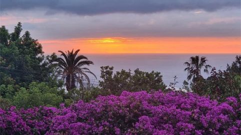 Photo 5 of Detached homes for sale in Santa Catalina, Tacoronte
