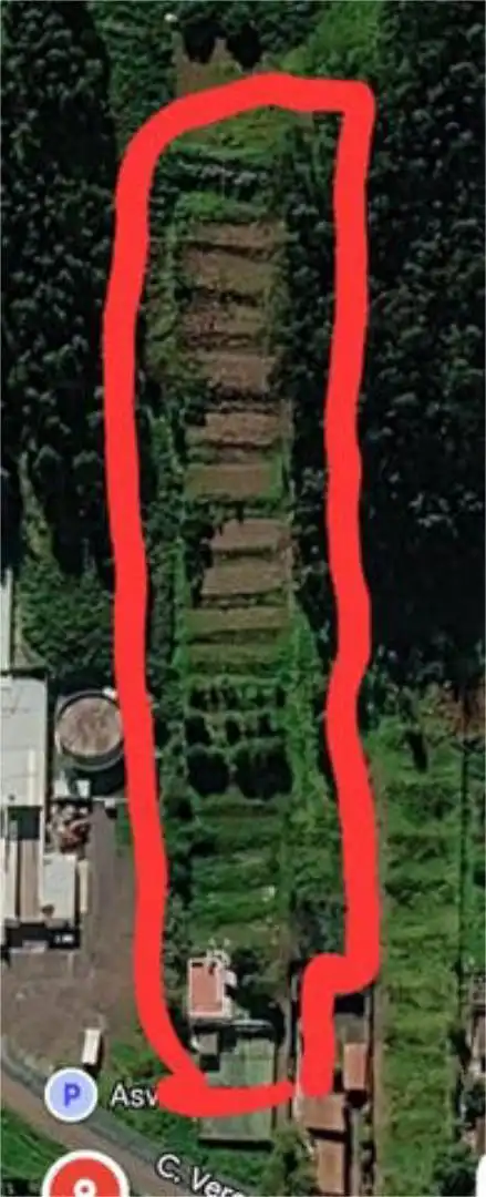Casa o xalet de lloguer en Tacoronte amb Calefacció, Jardí privat i Terrassa