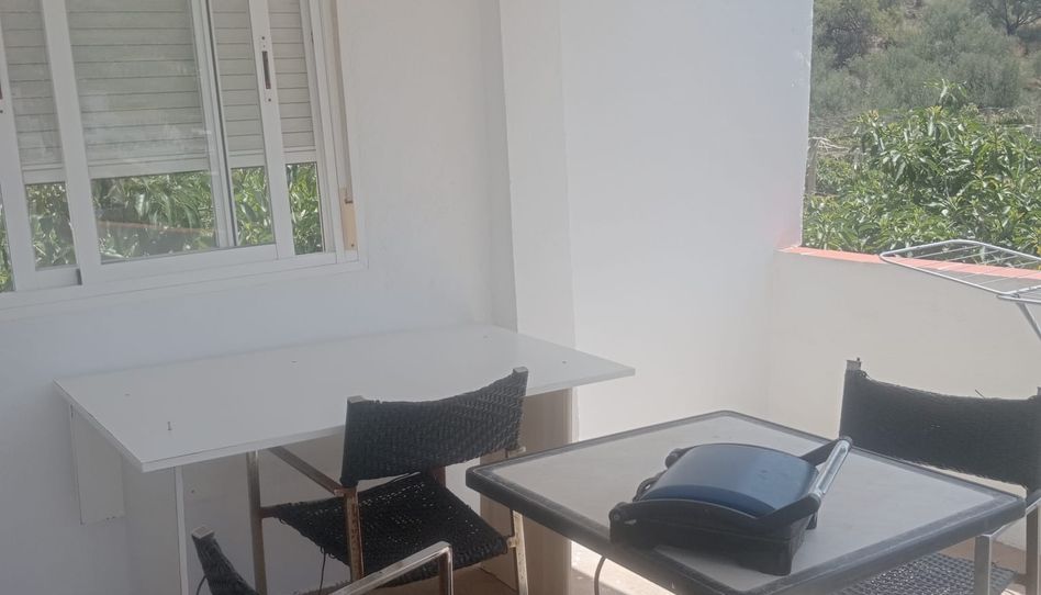 Finca rústica de alquiler en Barriada Íberos, 23, Camino Viejo de Málaga, Vélez-Málaga - imagen 1 Foto 1 de Finca rústica de alquiler en Barriada Íberos, 23, Camino Viejo de Málaga, Vélez-Málaga