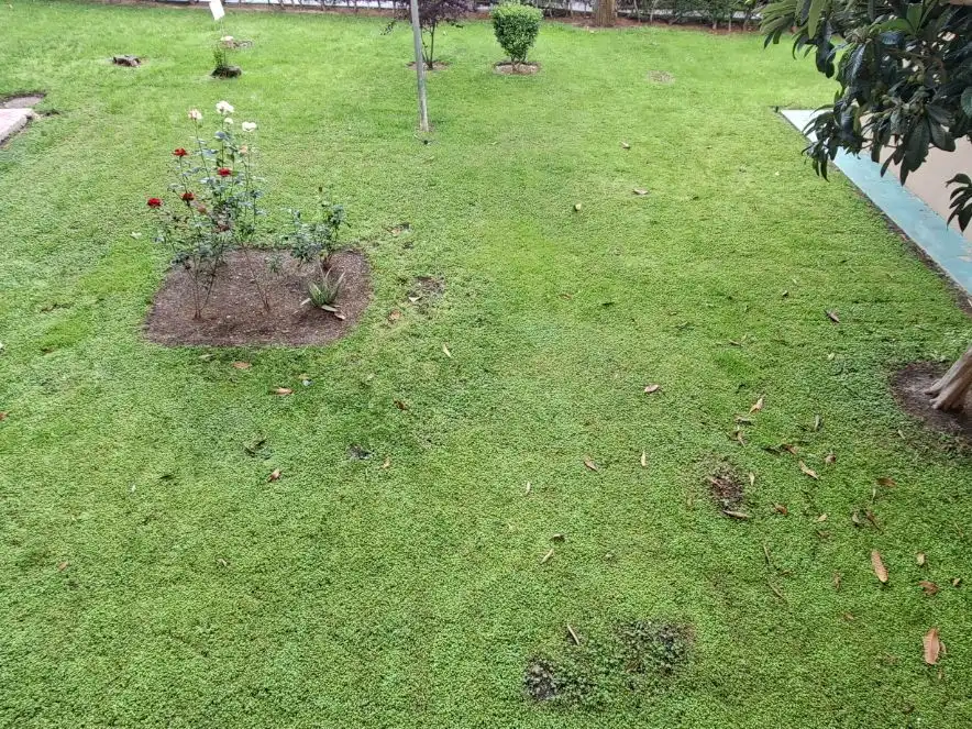 Garden of Flat for sale in Leganés  with Terrace