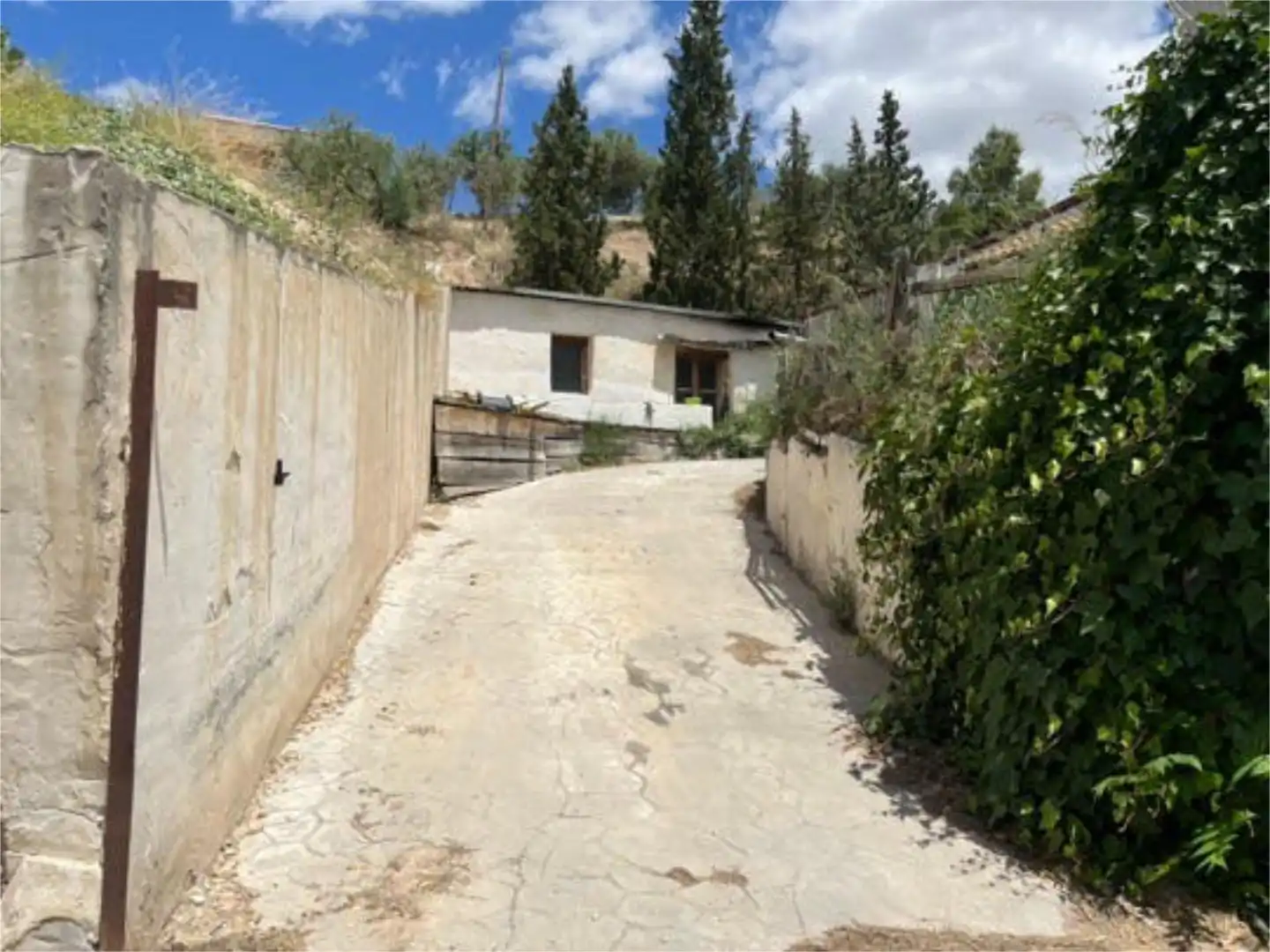 Vista exterior de Casa o chalet en venta en Iznalloz con Terraza