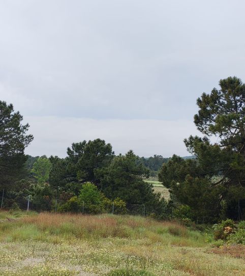 Country homes for sale in Corral de Carmelo, 40d, Los Felipes - Corral de Carmelo, Chiva - image 2 Photo 2 of Country homes for sale in Corral de Carmelo, 40d, Los Felipes - Corral de Carmelo, Chiva