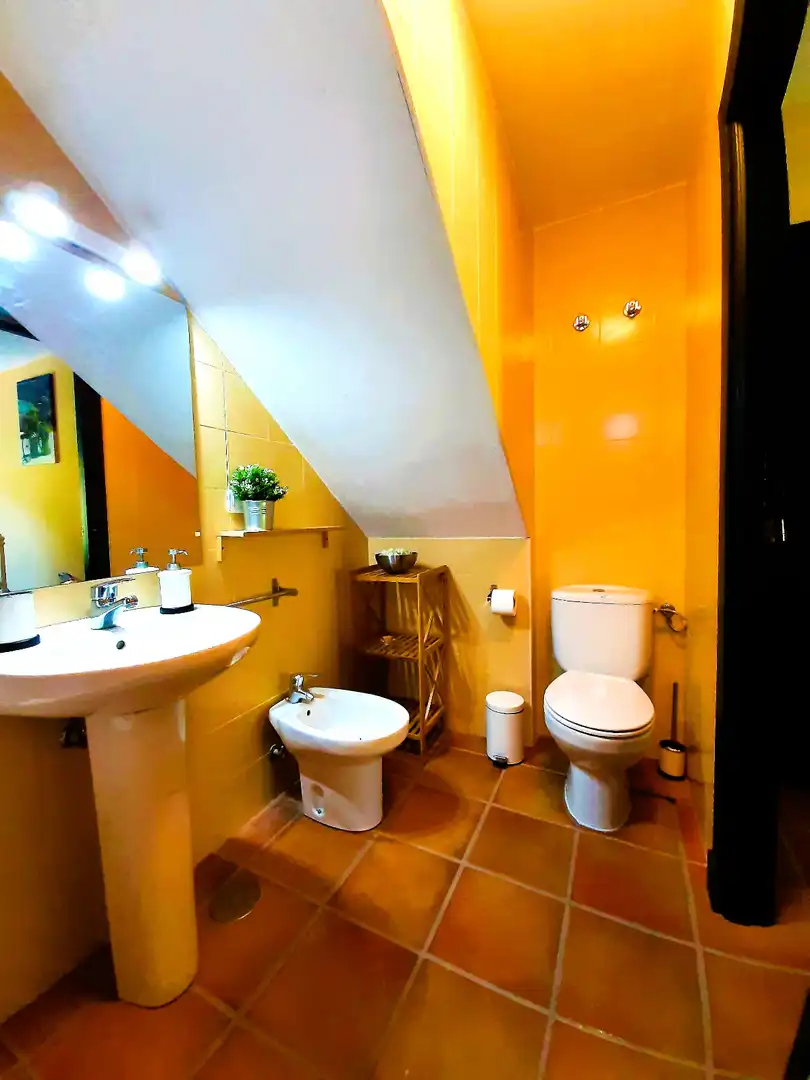 Baño de Casa o chalet de alquiler en Aracena