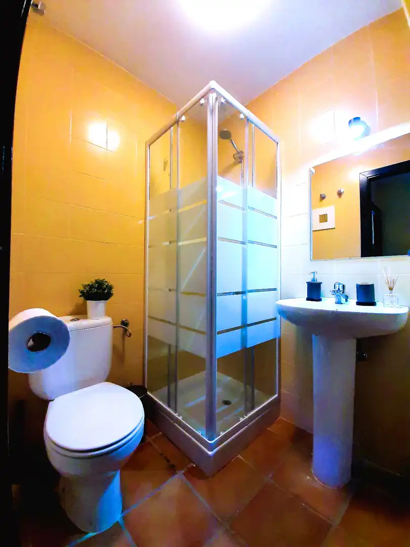 Baño de Casa o chalet de alquiler en Aracena