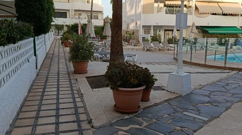 Apartament de lloguer a Calle Los Jazmines, 7, San Agustín - Bahía Feliz, San Bartolomé de Tirajana - imatge 3 Foto 3 de Apartament de lloguer a Calle Los Jazmines, 7, San Agustín - Bahía Feliz, San Bartolomé de Tirajana