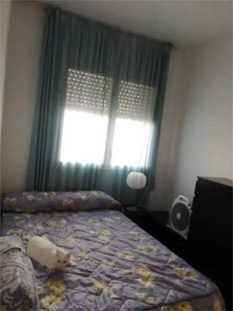 Apartament de lloguer a Vilapicina i la Torre Llobeta