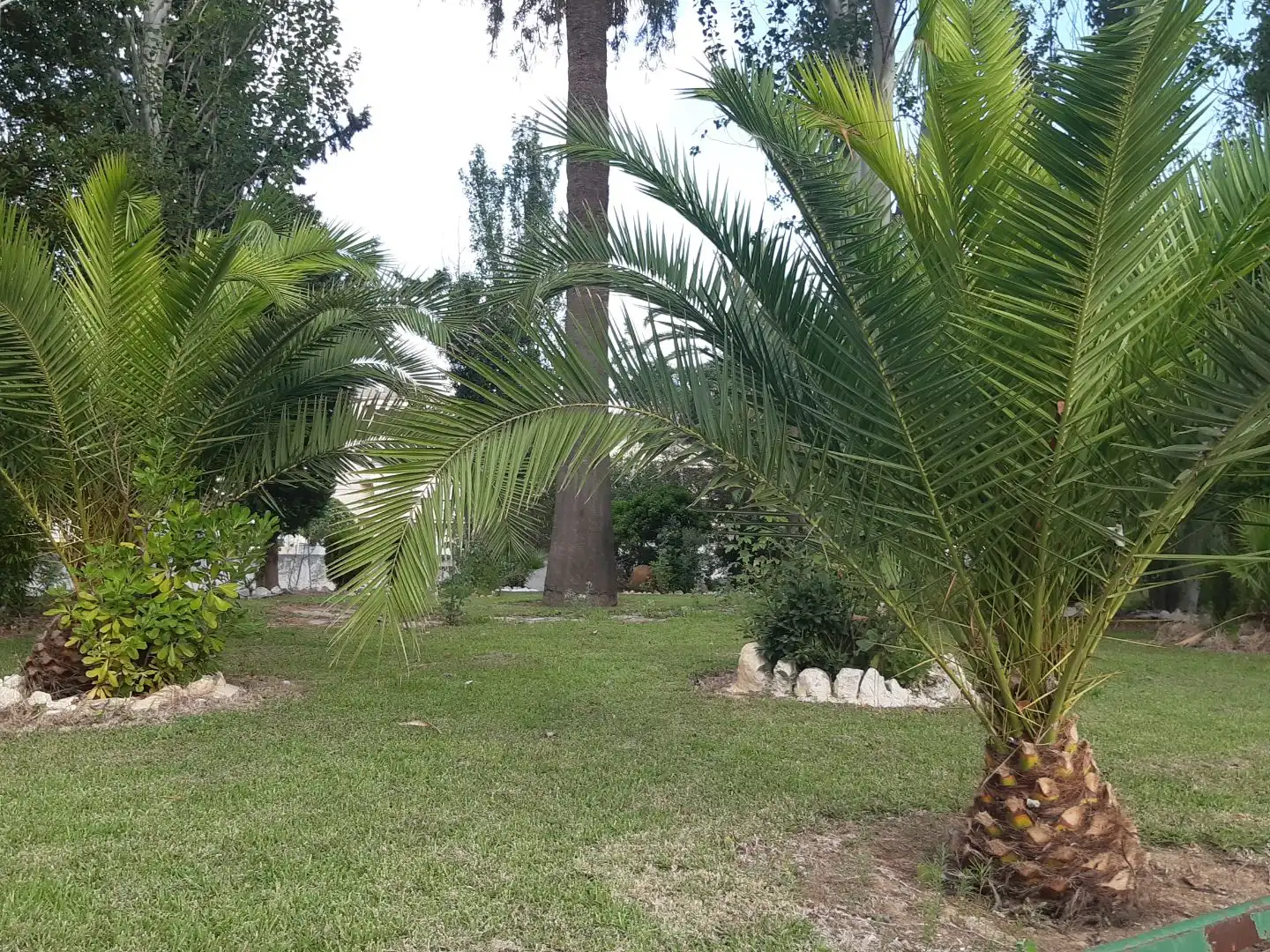Wohnung zum Verkauf in Passeig Marítim de Sant Joan de Déu, 185, L'Estany Garten von Wohnung zum Verkauf in Calafell mit Klimaanlage, Terrasse und Schwimmbad