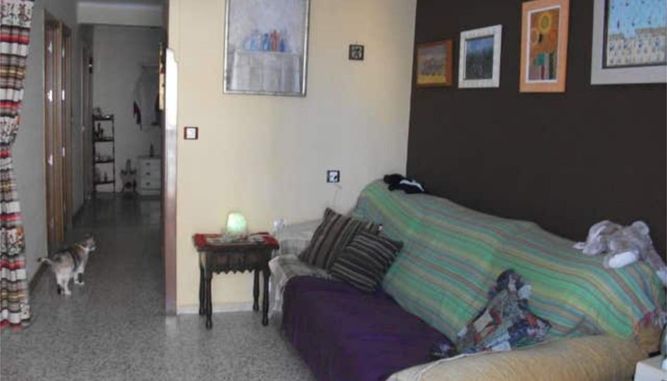 Apartments for sale in Poniente - Faro, Vélez-Málaga - image 1 Photo 1 of Apartments for sale in Poniente - Faro, Vélez-Málaga