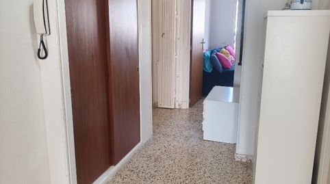 Flat for rent in Calle Maestro Parada, 8, Zona Playa del Cura, Torrevieja - image 5 Photo 5 of Flat for rent in Calle Maestro Parada, 8, Zona Playa del Cura, Torrevieja