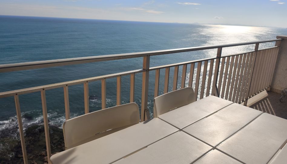 Flat for rent in Calle Maestro Parada, 8, Zona Playa del Cura, Torrevieja - image 1 Photo 1 of Flat for rent in Calle Maestro Parada, 8, Zona Playa del Cura, Torrevieja